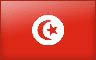 bandera Tunis